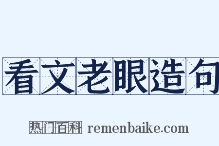 看文老眼造句是什么意思的图片